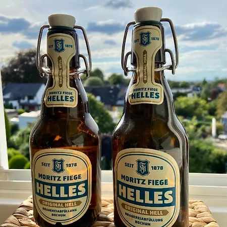 Blick Ins Ruhrgebiet Appartement